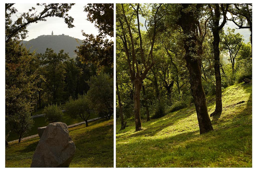 Villa Vires Labin  Dış mekan fotoğraf