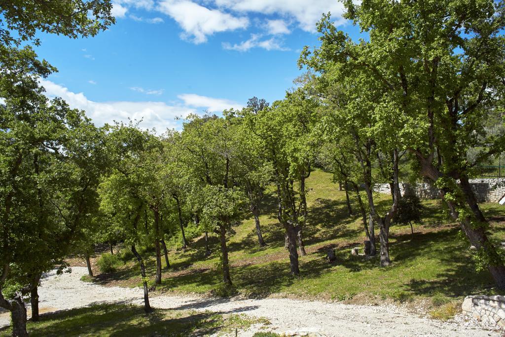 Villa Vires Labin  Dış mekan fotoğraf