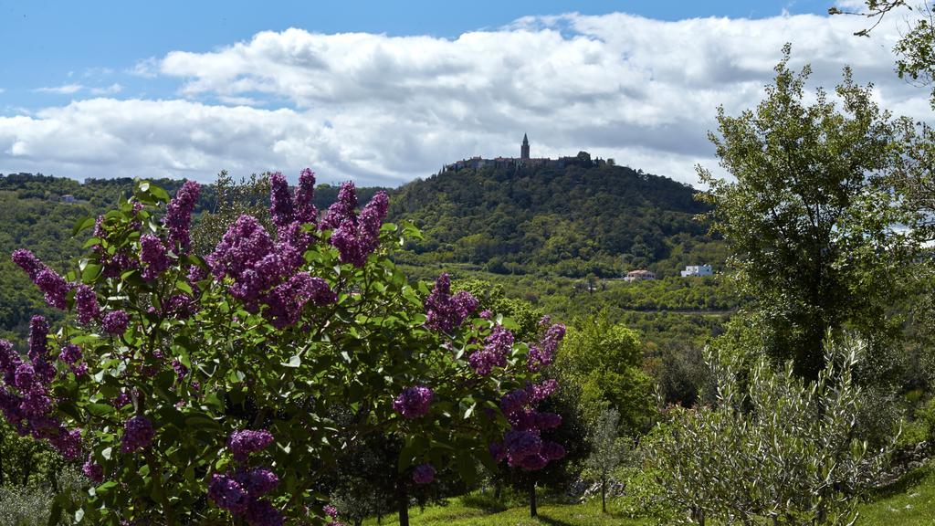 Villa Vires Labin  Dış mekan fotoğraf